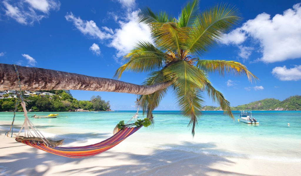 August travel destination - Trips by period